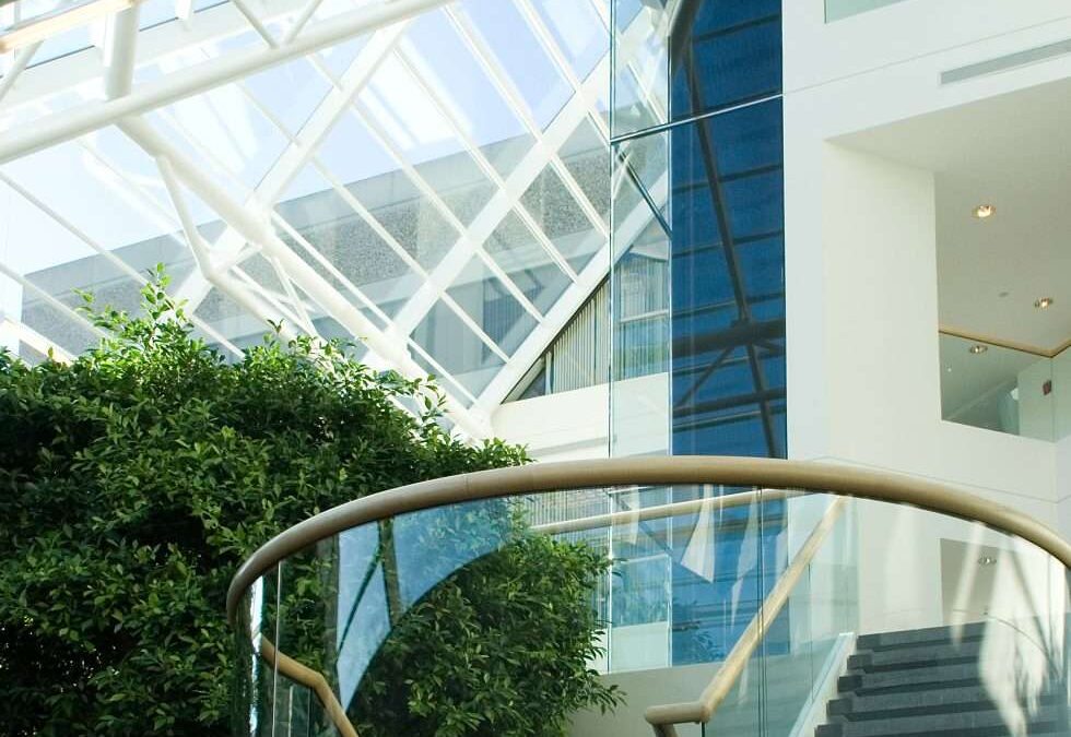 Case Study: Lincoln North